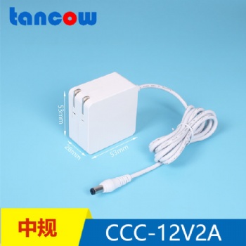 雅萌12V2ATYPE-C电源适配器美容仪私模12V2A可定制LOGO