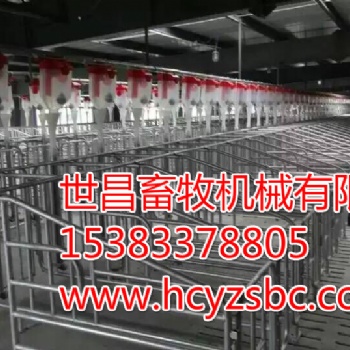 内蒙古通辽猪场设备自动化喂料线安装厂家