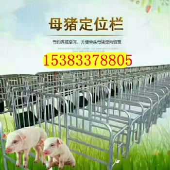 通辽猪场母猪限位栏连体安装图