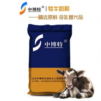 刚出生犊牛的饲养中博特犊牛奶粉