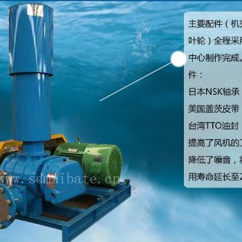 三叶罗茨鼓风机水产养殖鱼塘增氧泵低噪声污水处理