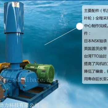 三叶罗茨风机 回转式风机 污水处理 厂家 罗茨鼓风机型号