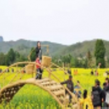 2019欢迎:泰兴创意草编造型设计公司 - 泰安民间工艺品