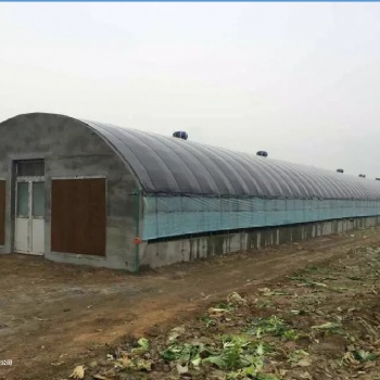全自动化养殖大棚畜牧温室大棚肉鸡养殖温室大棚蛋鸡养殖温室大棚鸭棚养殖大棚