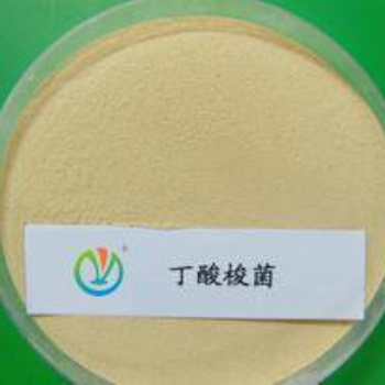 【丁酸梭菌】_丁酸梭菌价格_丁酸梭菌批发_丁酸梭菌厂家——河南金百合生物