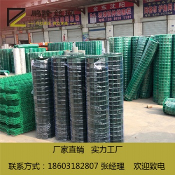 鹏隆丝网 优质质量 浸塑 荷兰网 50*50 实体工厂