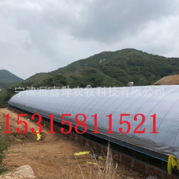鸡场自动化恒温大棚猪场自动化温室大棚畜牧养殖大棚建造安装养殖温室大棚