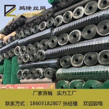 河北安平 鹏隆丝网 养殖防护网 50*50荷兰网 源头厂家