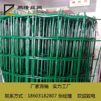 安平县 鹏隆丝网 质量可靠 50*50 养殖用网 荷兰网 源头厂家