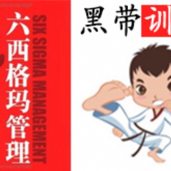 想参加六西格玛黑带培训,哪家公司好?