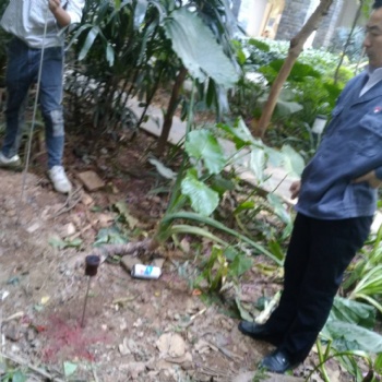 东莞小区商品房暗管漏水，家里不用水不渗水水表一直在转动