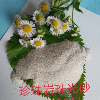 广东珍珠岩珠光砂70-90目，90-120目厂家