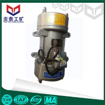 生产ZW系列平板式振动器 混凝土振动器价格