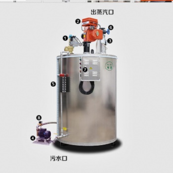 0.3吨天然气蒸汽发生器锅炉