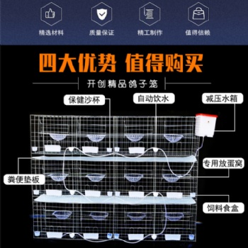河南盟鹏厂家生产环保耐用加粗加密四层12位鸽笼及养殖配件