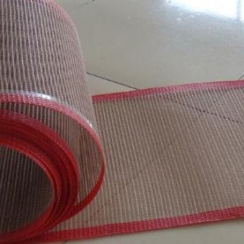 泰州铁氟龙网格输送带