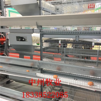 广东层叠鸡笼清粪机皮带输送机清粪设备