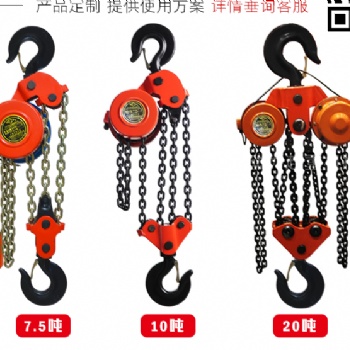 20吨6米脱硫塔电动葫芦的价格上海沪工产品