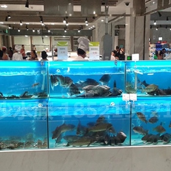广州好水族海珠酒饭店超市海鲜池鱼缸制冷机安装移动大排档贝类鱼池定做
