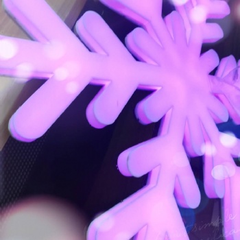 厂家LED立体雪花灯