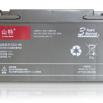 山特ups免维护铅酸蓄电池 C12-65 批发