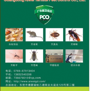 杀虫公司白蚁防治工厂杀臭虫东莞白蚁防治除四害除虫除蚁