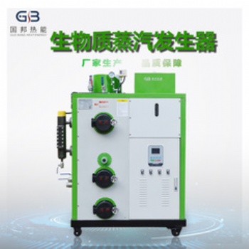 国邦生物质蒸汽发生器70公斤超好用！！！