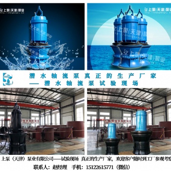 南宁上泵牌大流量潜水轴流泵