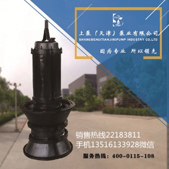 无阻塞潜水轴流泵-上泵