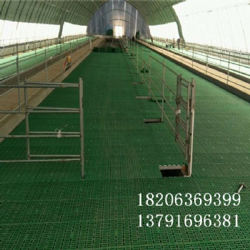 中兴塑料羊粪板塑料羊圈隔粪板养羊扣板生产厂家
