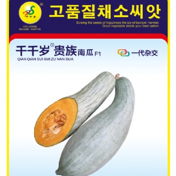 广东金记千千岁贵族南瓜F1种子