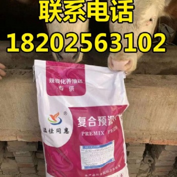 供应肉牛预混料那个品牌好 溢佳同惠肉牛预混料