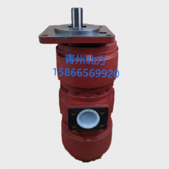 现货供应CBZ2063/2050浦沅16吨吊车双联泵
