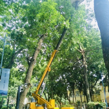 中山高空作业车出租云梯车出租路灯车出租