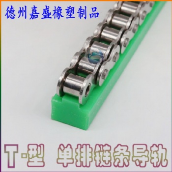 山东嘉盛厂家自动化生产线链条导轨