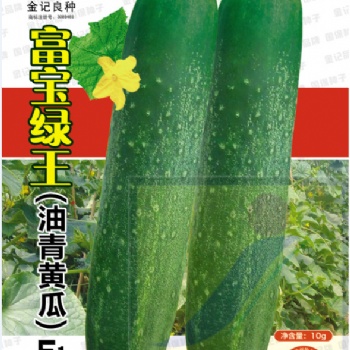 金记富宝绿王（油青黄瓜）F1 806