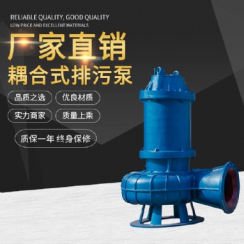 WQ大流量潜水污水泵城建用水污水泵质优价廉 厂价