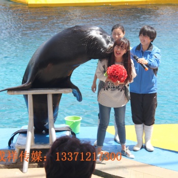 海洋生物公司展览海洋公司展览方案