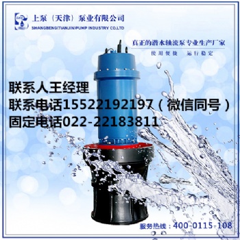 湖南长沙精铸潜水轴流泵