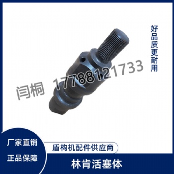 林肯活塞体（242691）价格实惠 欢迎询价