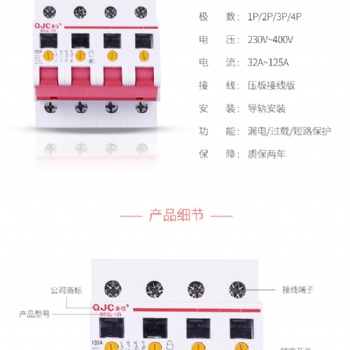 秦佳可视隔离断路器BDGL-125