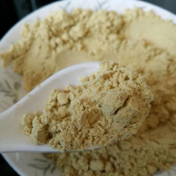 广东生姜粉总经销 老姜粉 价格优惠【琦轩食品】调味品香辛料