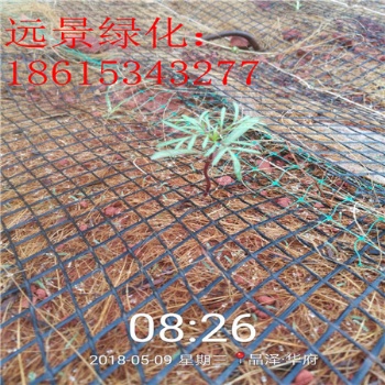 四川护坡毯 临汾生态袋 荒漠化治理环保草毯 环境绿化用植物纤维毯