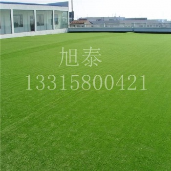 河北省旭泰人工假草坪