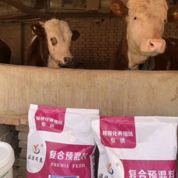 肉牛预混料饲料厂家