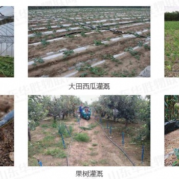 山东大型智能一体化山东华胜安全可靠