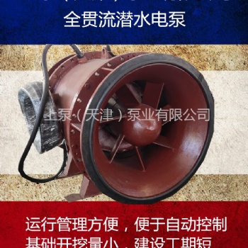 山东青岛大流量潜水贯流泵