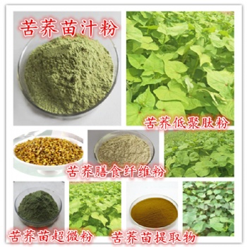 苦荞苗**苦荞苗速溶粉 苦荞苗浸膏 苦荞苗超微粉300目