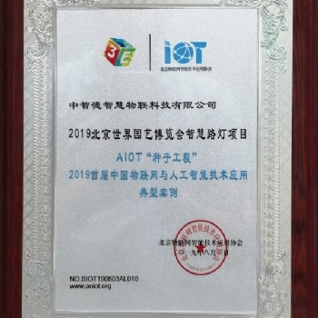 中智德智慧路灯2019年二典型应用案例企业