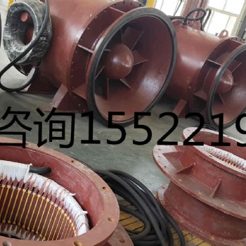 全贯流潜水泵生产厂家